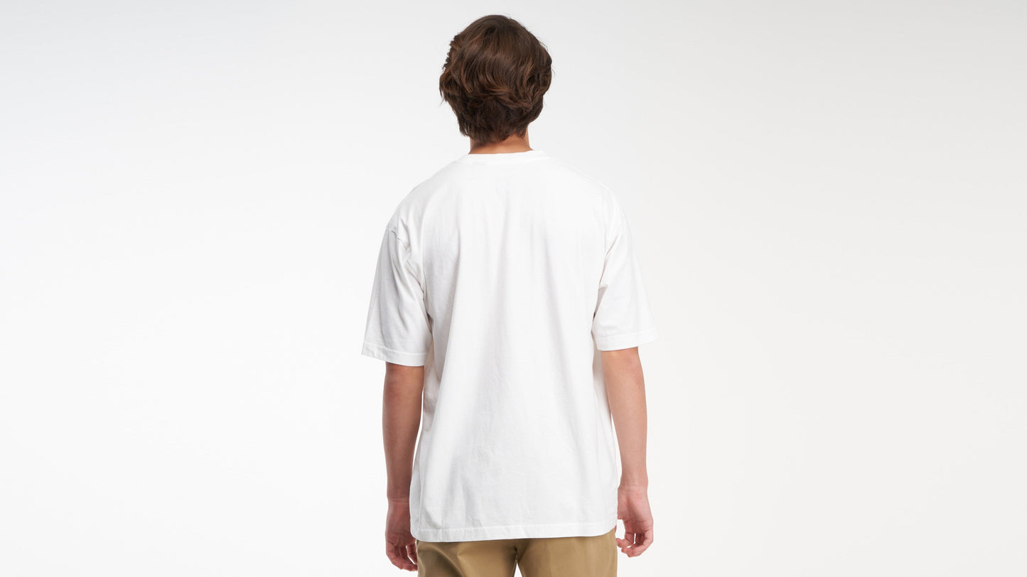Levi's® Skate Men's Graphic Boxy T-Shirt